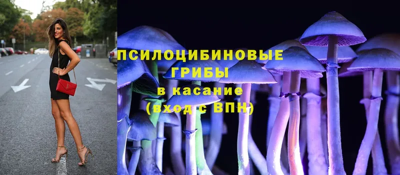 Псилоцибиновые грибы Psilocybe  где купить наркотик  Новочебоксарск 